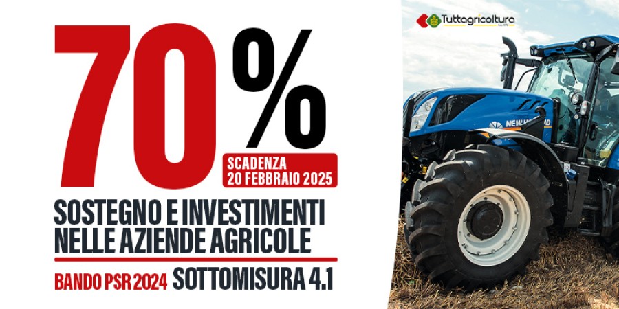 Ottieni fino a €300.000 per il tuo progetto agricolo con il Bando PSR Sicilia 2024 – Sottomisura 4.1!