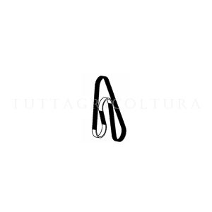 CINGHIA DENTATA TWINPOWER GT2 8MGT 30 ORIGINALE POTTINGER 460.425