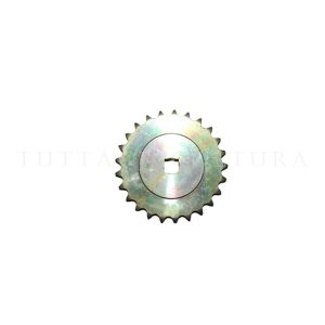 PIGNONE Z-25 ZN GASPARDO G16630420R