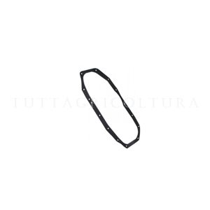 GUARNIZIONE CARTER MASCHIO M29100304R