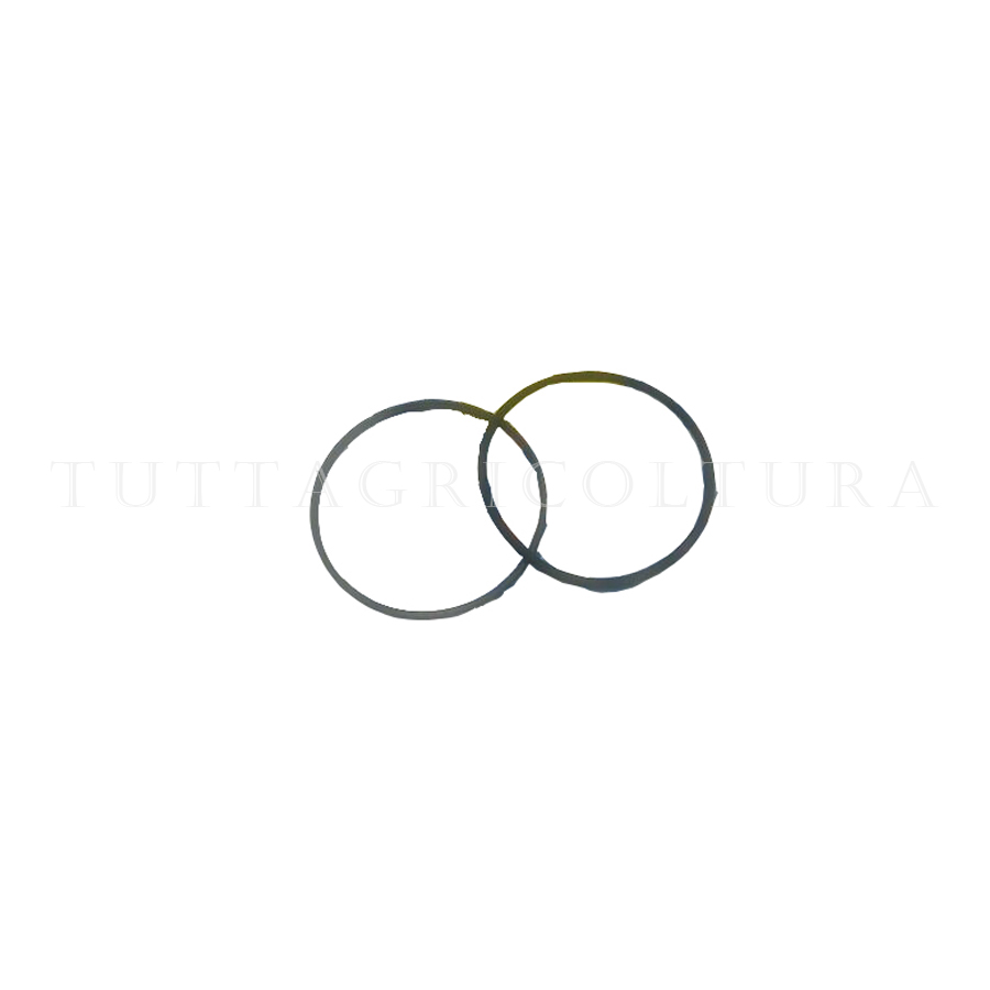5154611 Anello Di Tenuta