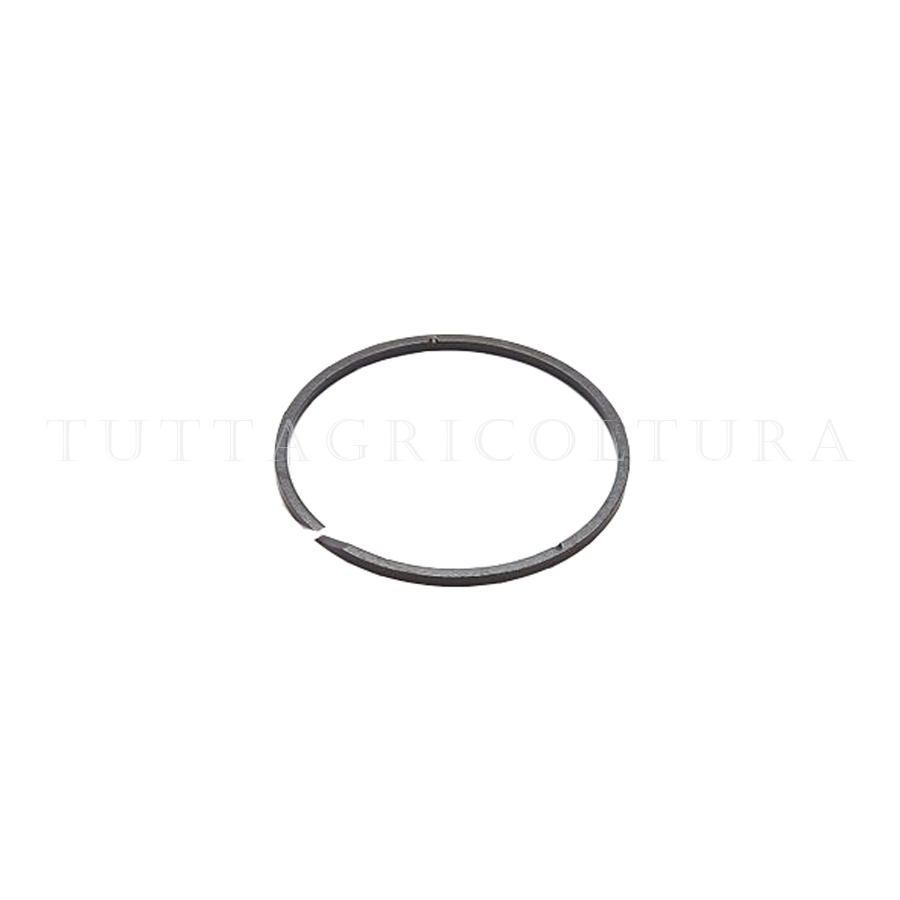 5175988 Anello Tenuta