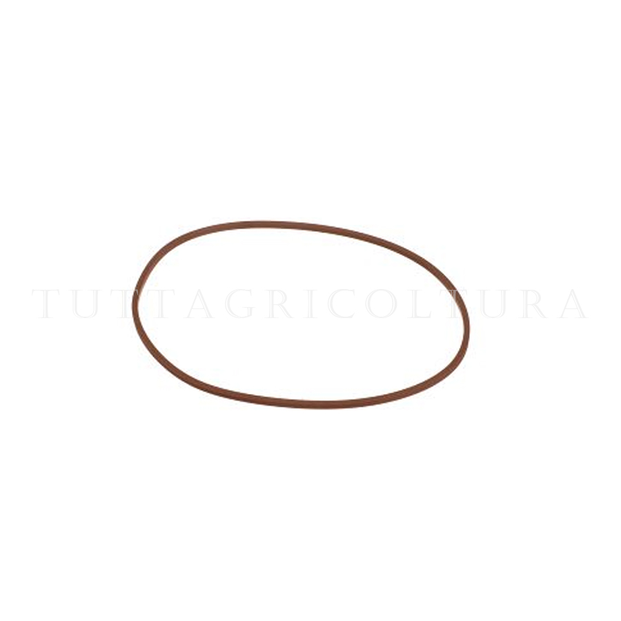 5181734 Fascia Elastica