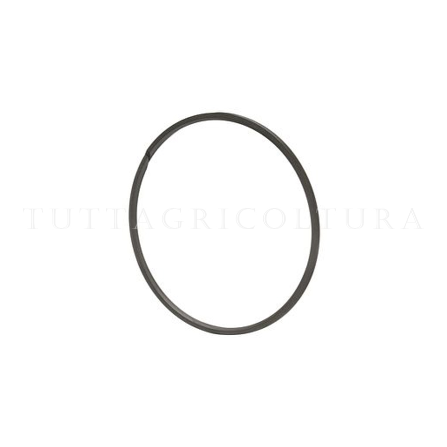 Guarnizione Tenuta Cnh 83911795 Guarnizione Tenuta Cnh 83911795