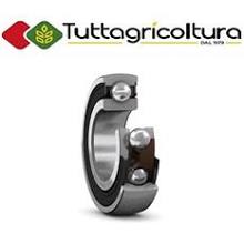 Cuscinetto a Sfera Skf 1726310-2RS1 50X110X27