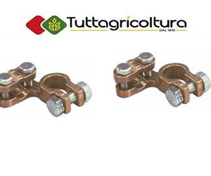 2 X Morsetto Standard Per Batteria Auto Positivo e Negativo Coppia Universali
