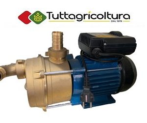 Elettropompa Autoadescante Per Travaso Liquidi in Ottone 1 HP Tellarini Eem 30