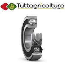 Cuscinetto Radiale a Sfere 6013-2RS1 65X100X18