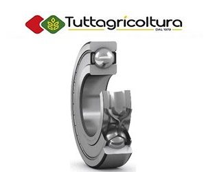 Cuscinetto Radiale a Sfere 61903-2Z 17X30X7