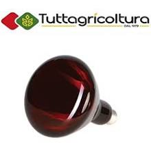 Lampada Infrarossi 150W Riscaldamento Suini