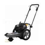 DECESPUGLIATORE CARRELLATO