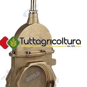 Saracinesca a Stantuffo una Ghiera 4" 3BAR