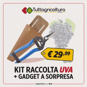 Kit Raccolta Uva 2 Forbici + Lima + Fodera