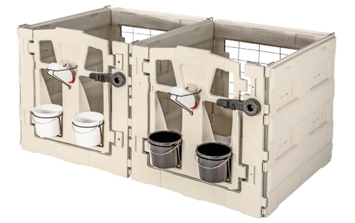 Box per vitelli